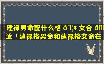 建禄男命配什么格 🦢 女合 🌸 适「建禄格男命和建禄格女命在一起好不好」